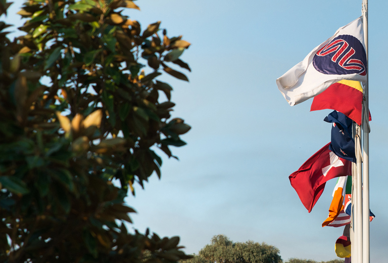 Image of various flags, including one with the Sonic helix