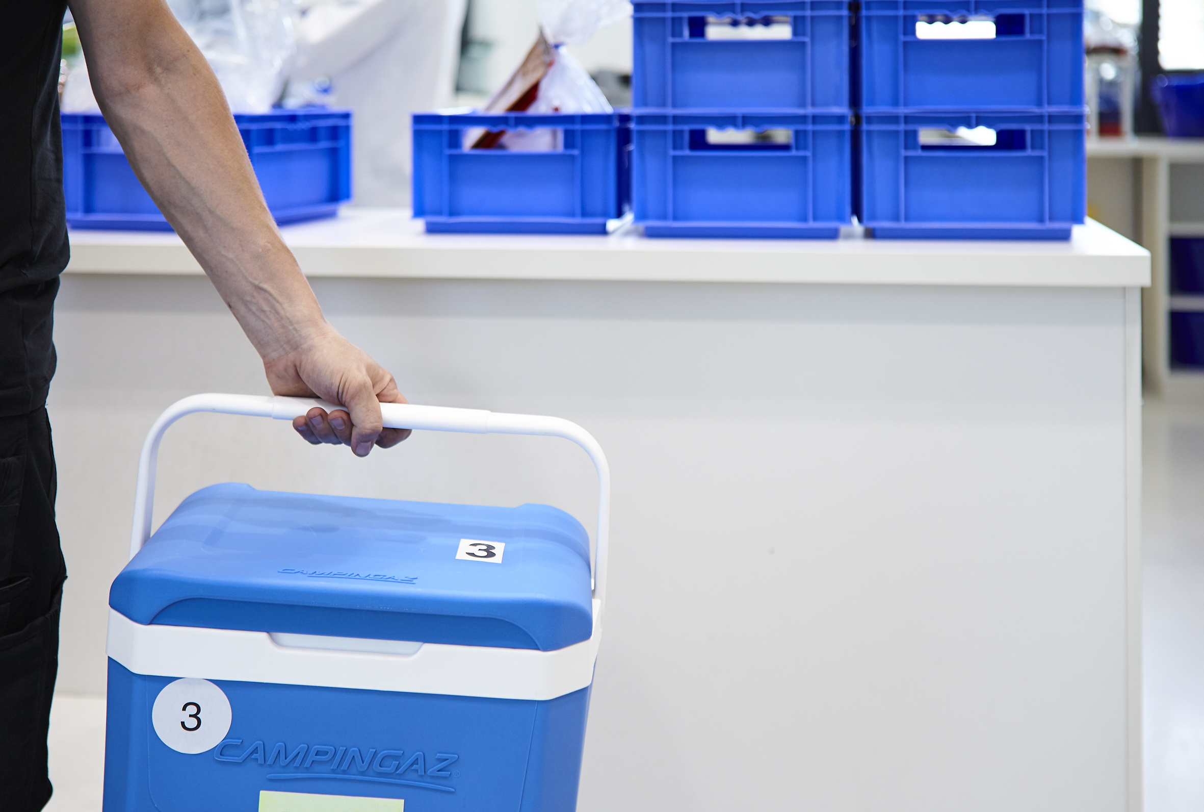 Transportbox